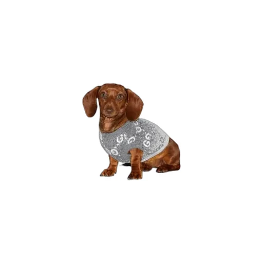 Wool Jacquard Pet Jumper
