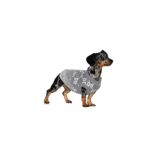 Wool Jacquard Pet Jumper