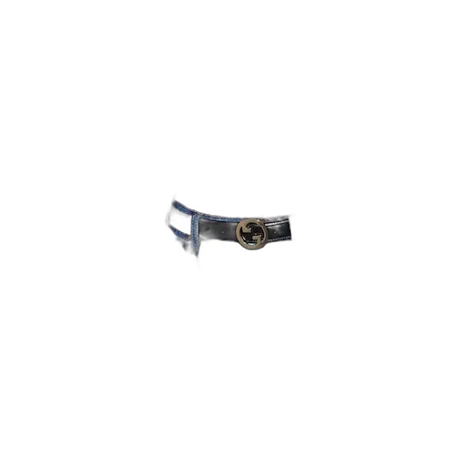 Gucci Blondie Belt