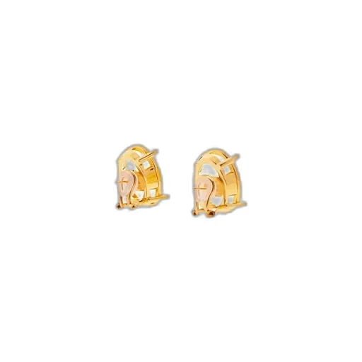 Frame Oval Earrings