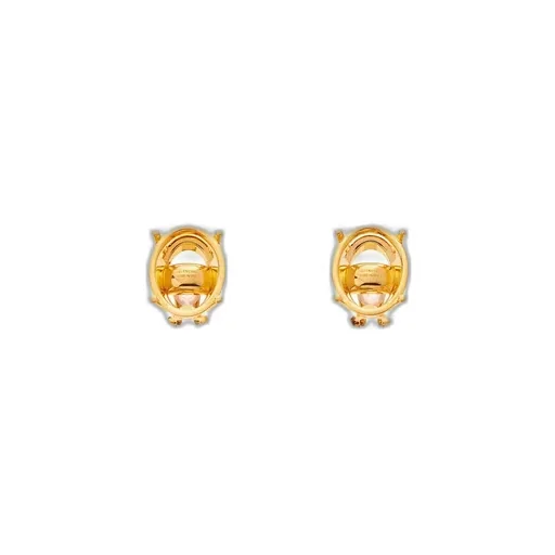 Frame Oval Earrings