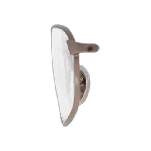Editorial Oval Sunglasses