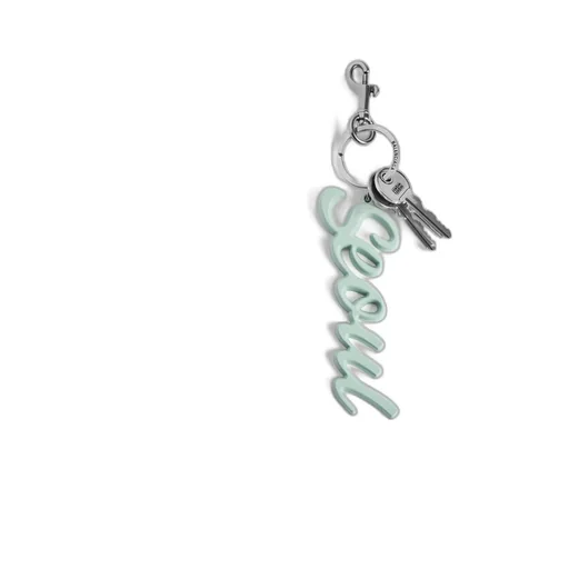 Seoul Charm/Keychain