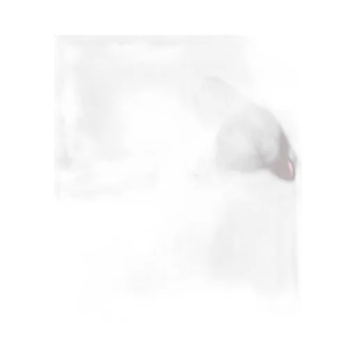 Paris Orb Stole