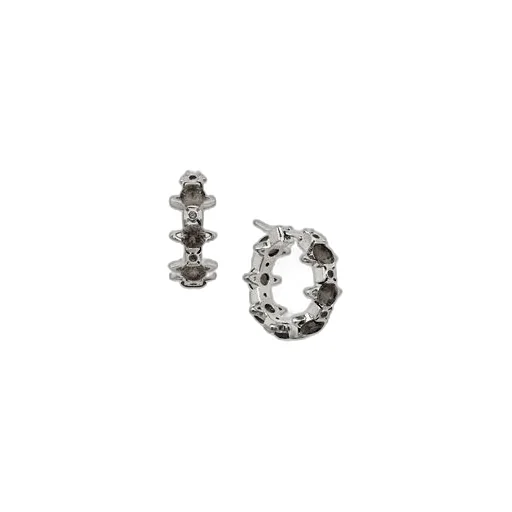 Warwick Earrings
