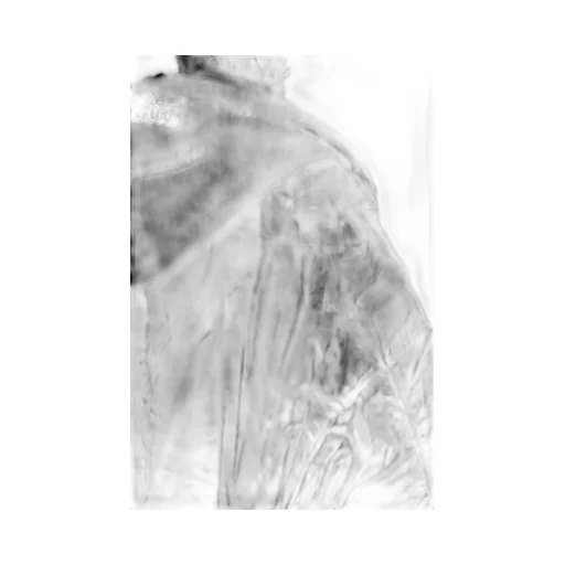 Alpha Reversible Cropped Bomber Jacket