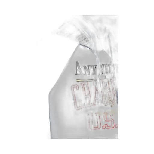 Antwerp Champion Hoodie Blue