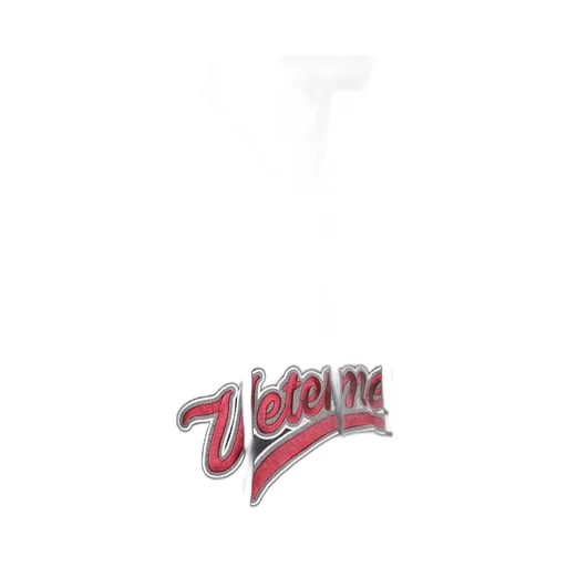 Zipped Bro Hoodie