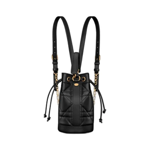 Small Dior Backpack