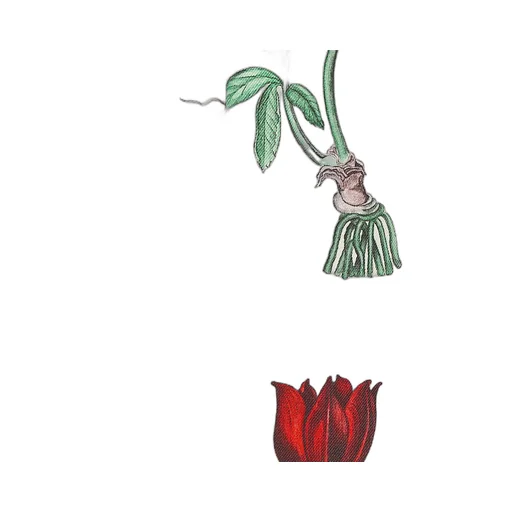 Herbarium Illustration Short-Sleeved Shirt