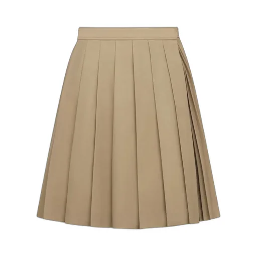 Pleated Short Skirt