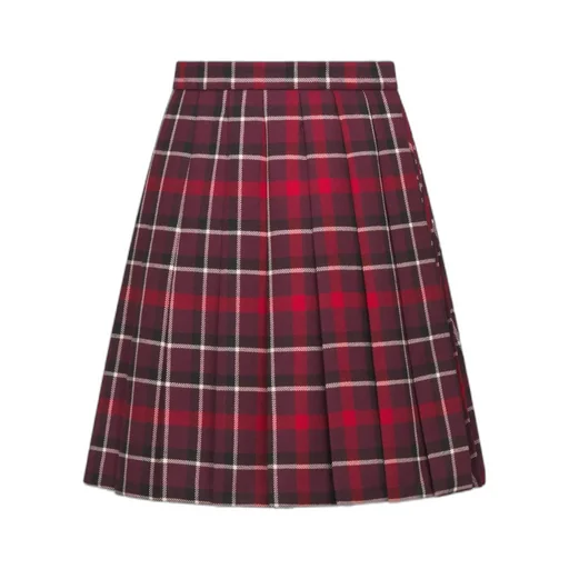 Pleated Short Skirt