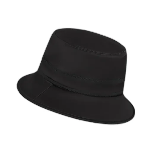 Logo Hat