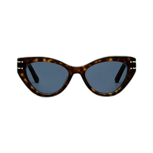 Diorsignature B7I
