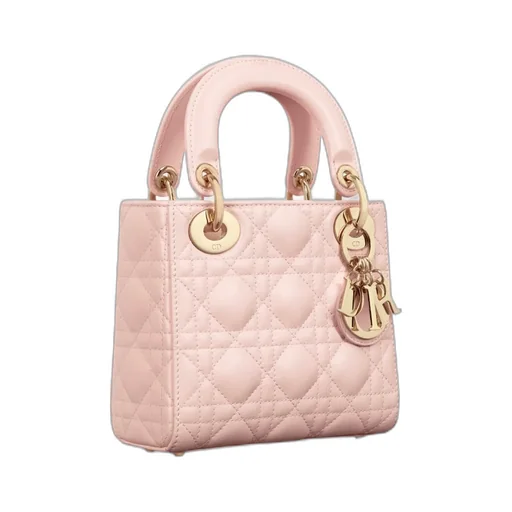 Mini Lady Dior Bag