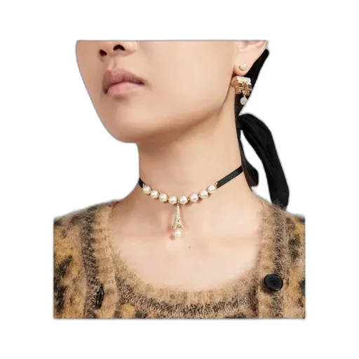 Plan De Paris Choker