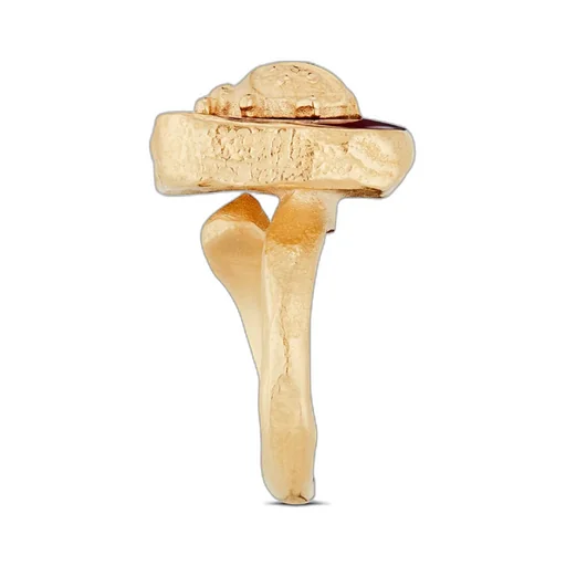 Jardin D'hiver Ring