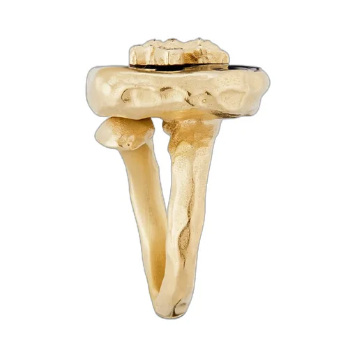 Jardin D'hiver Ring