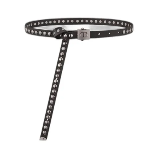 Diorpolytechnique Belt