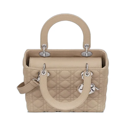 Medium Lady Dior Bag