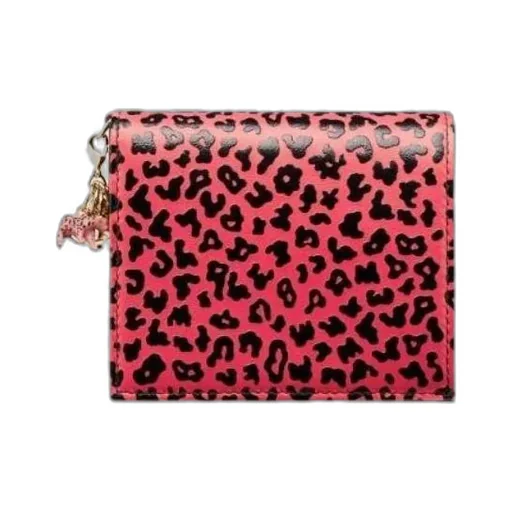 Mini Lady Dior Wallet