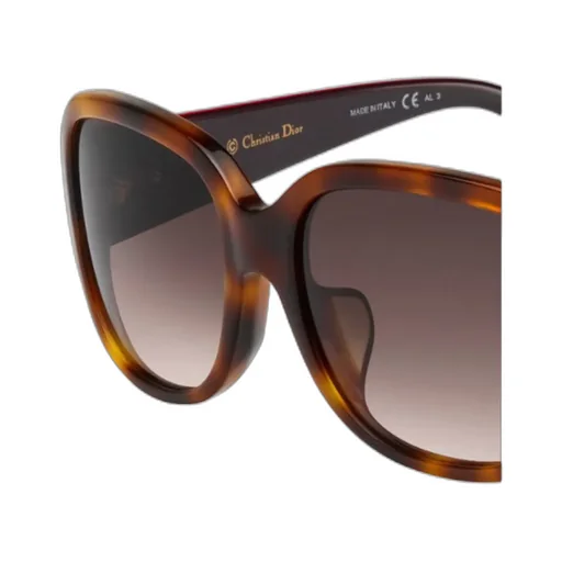 Oval Sunglasses