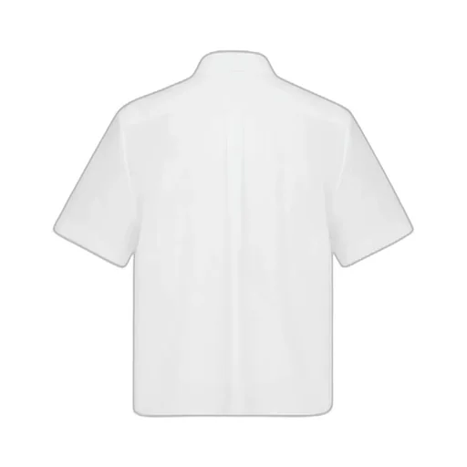Cropped Button-Up Blouse