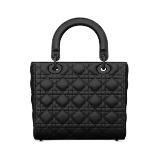 Medium Lady Dior Bag