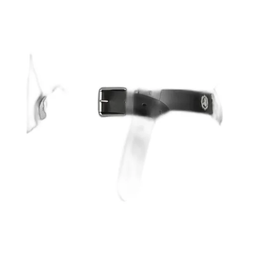 Symbol Belt