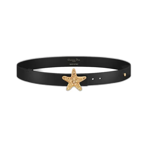 Cabinet De CuriositÉS Belt