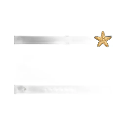 Cabinet De CuriositÉS Belt