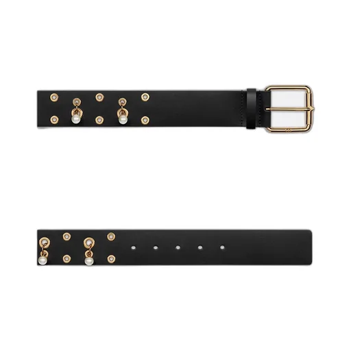 Diorevolt Belt