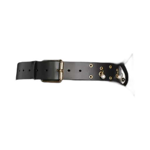 Diorevolt Belt