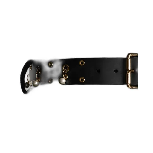 Diorevolt Belt