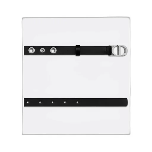 30 Montaigne Belt
