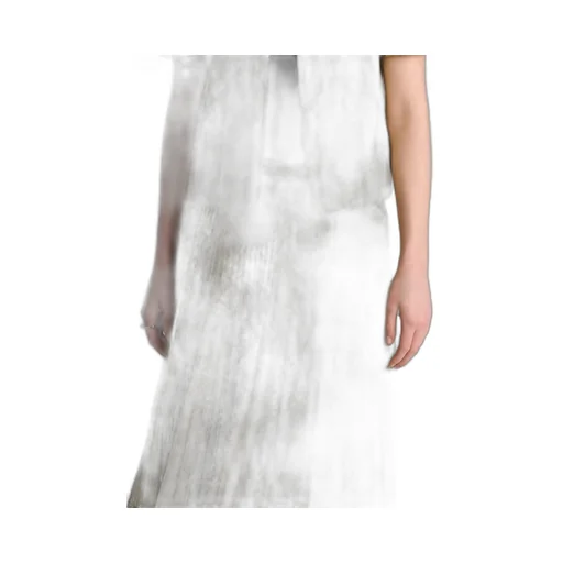 Or Mid-Length Pleated Skirt