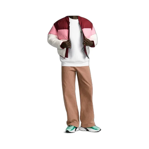 Dior And Lewis Hamilton Puffer Jacket With Removable Sleeves