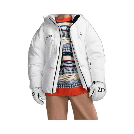Dior And Descente And Lewis Hamilton Quilted Puffer Ski Jacket