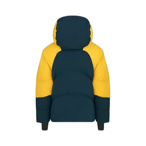 Dior And Descente And Lewis Hamilton Quilted Puffer Ski Jacket