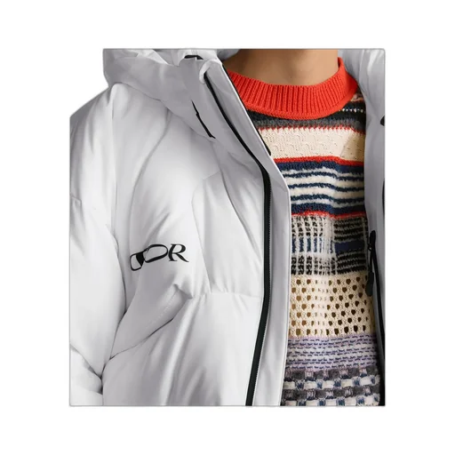 Dior And Descente And Lewis Hamilton Quilted Puffer Ski Jacket