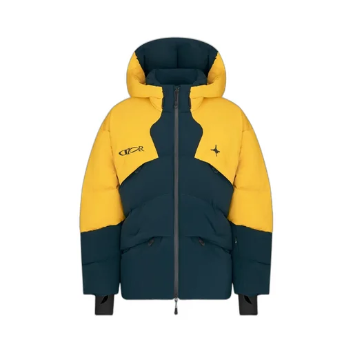Dior And Descente And Lewis Hamilton Quilted Puffer Ski Jacket