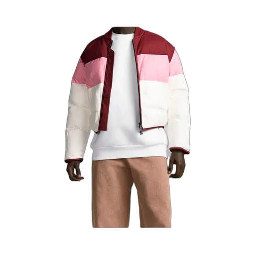 Dior And Lewis Hamilton Puffer Jacket With Removable Sleeves
