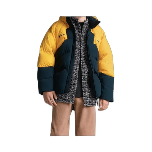 Dior And Descente And Lewis Hamilton Quilted Puffer Ski Jacket