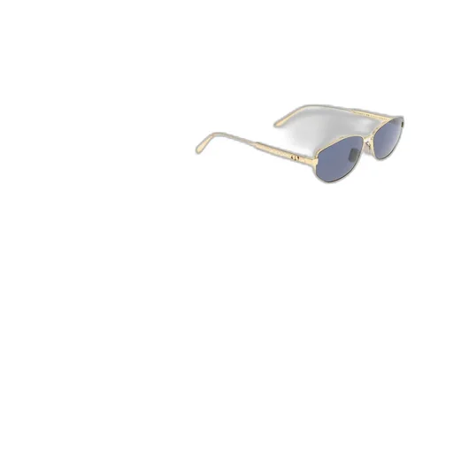 Oval Frame Sunglasses