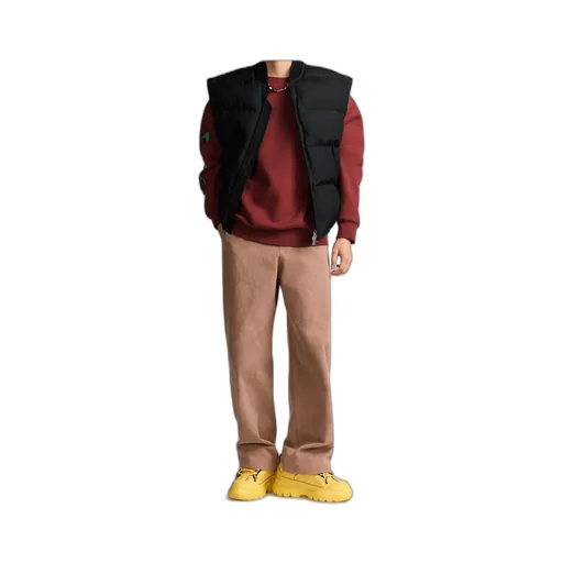 Dior And Lewis Hamilton Puffer Jacket With Removable Sleeves