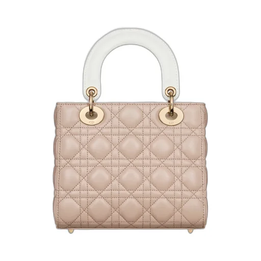 Small Lady Dior Bag