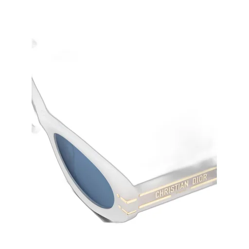 Diorsignature B8U