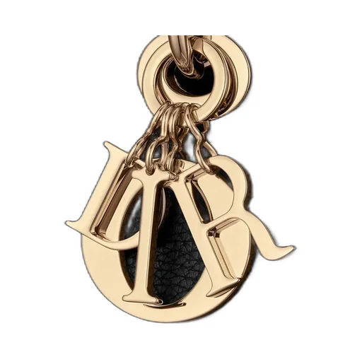 Medium Lady D-Sire My Abcdior Bag
