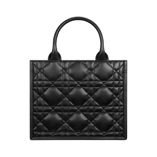 Small Dior Book Tote