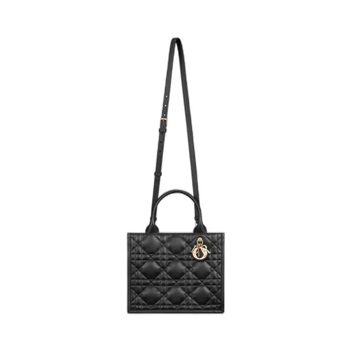 Small Dior Book Tote